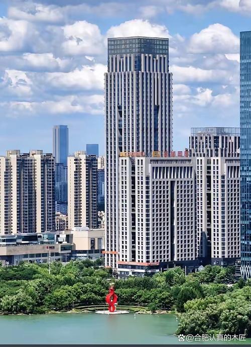 合肥并非唱高调，某些质疑误读且不客观，具体分析看这里