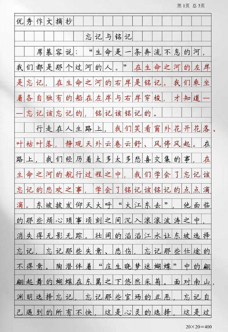 2005年四川高考满分作文范文：在忘记与铭记的两岸