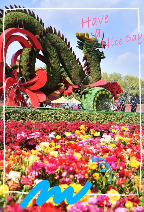 沈阳花海旅游景区推荐，北陵公园菊花展等多地赏花好去处