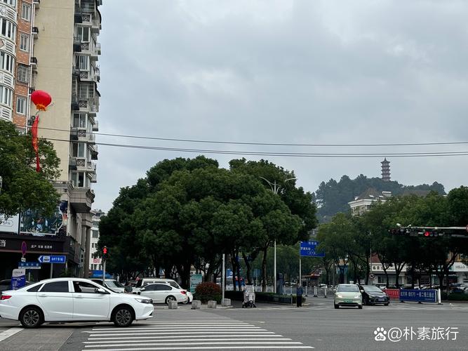 疫情浙江对口湖北哪个城市__疫情浙江女院士