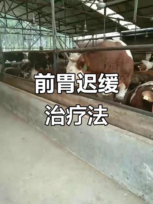 白城市大安市封城情况及白城镇西死牛病因介绍