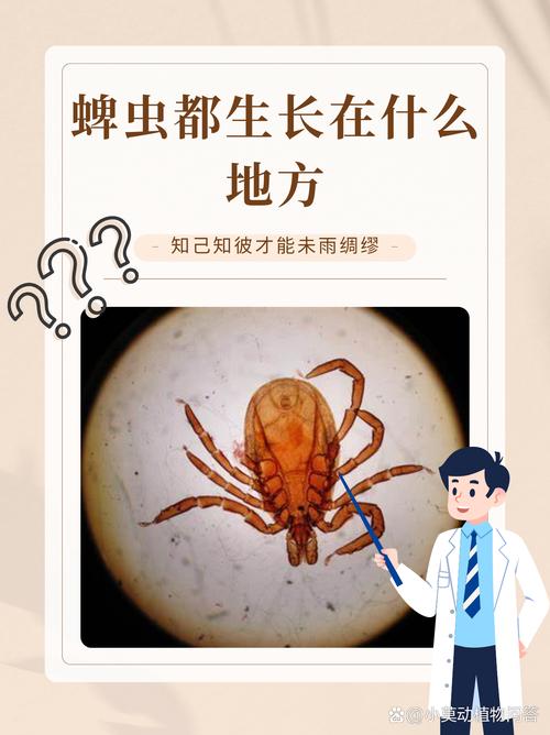 河南信阳确诊一例肺炎_河南信阳病情怎么样_