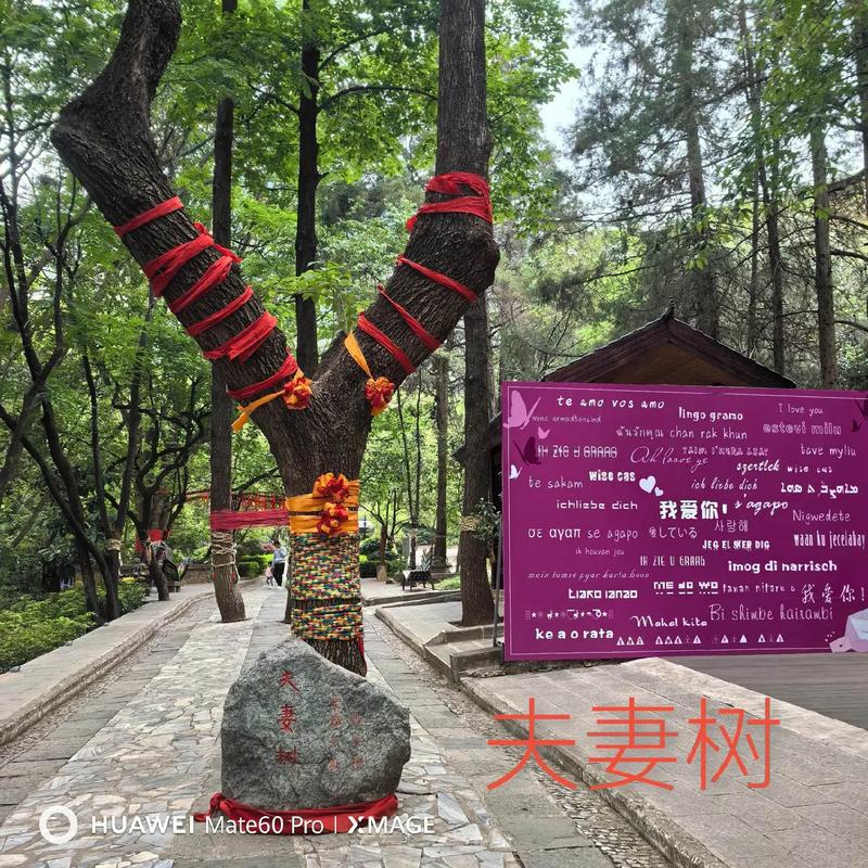 大理封城了没__云南大理古城封城吗