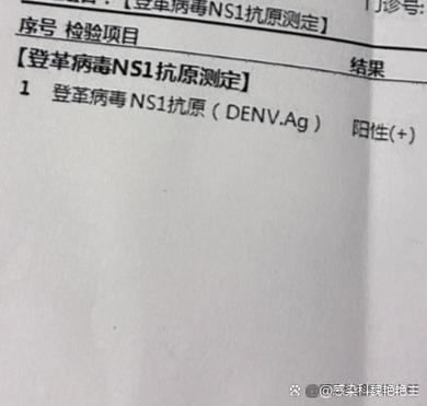 新加坡登革热疫情严重，病例超2万，单周纪录1793例